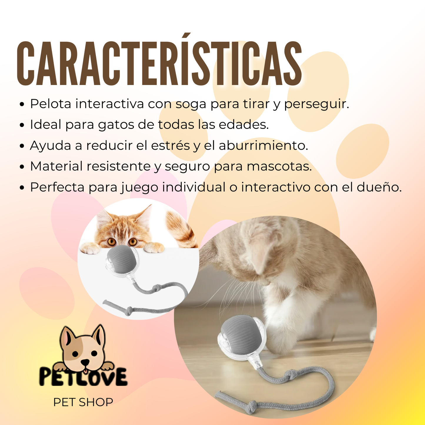 Pelota Interactiva para Gatos con Soga