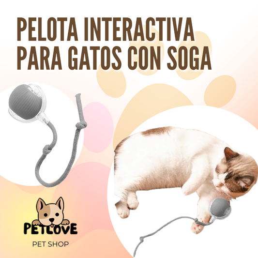 Pelota Interactiva para Gatos con Soga